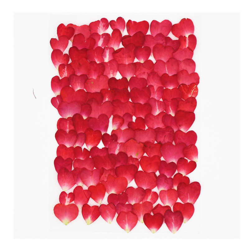 Resin Art Rose Petals - 120 szt. mieszanki płatków róż, suszone