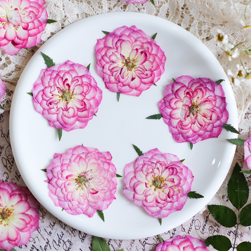 Resin Art Rose Petals - 6 szt., Naturalne suszone kwiaty róży