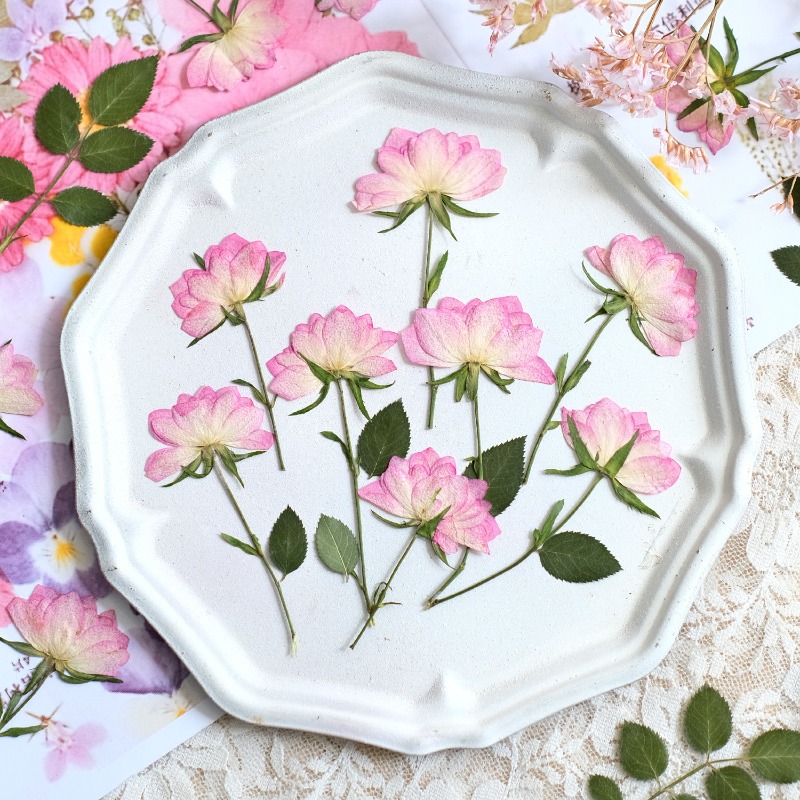 Resin Art Jewellery - 12 sztuk, prawdziwe suszone i prasowane