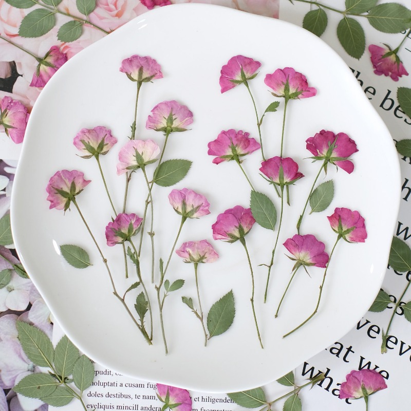 12 szt., Prawdziwe Mini Róże S – Resin Art Rose Petals recenzja i cena