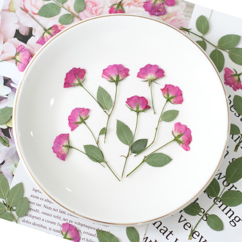 12 szt., Prawdziwe Mini Róże S – Resin Art Rose Petals recenzja i cena