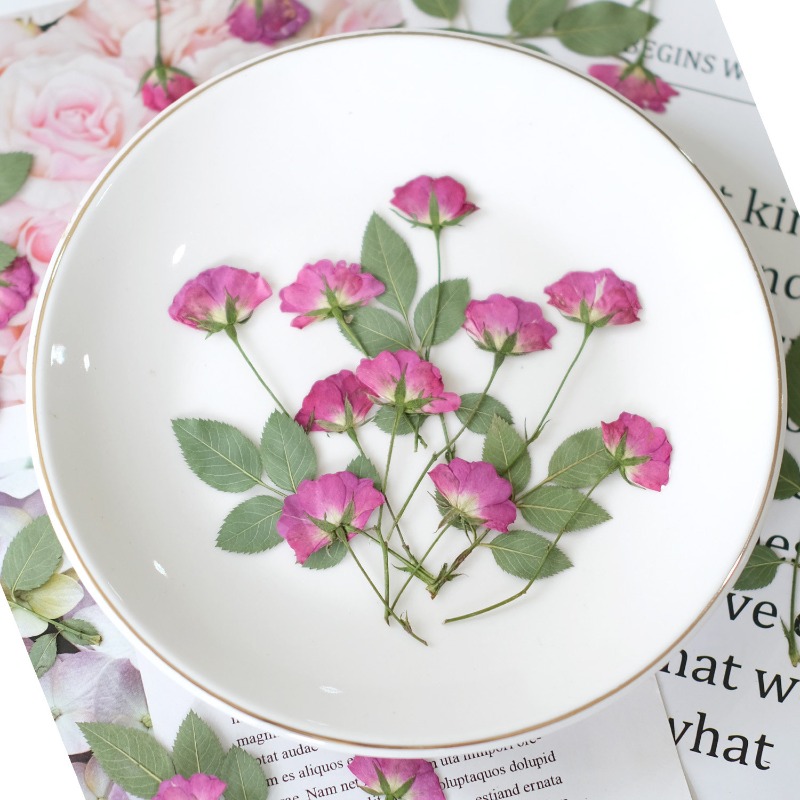 12 szt., Prawdziwe Mini Róże S – Resin Art Rose Petals recenzja i cena