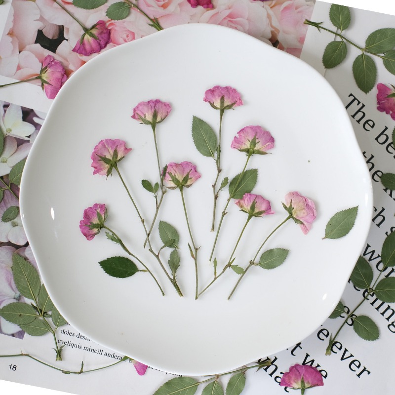 12 szt., Prawdziwe Mini Róże S – Resin Art Rose Petals recenzja i cena