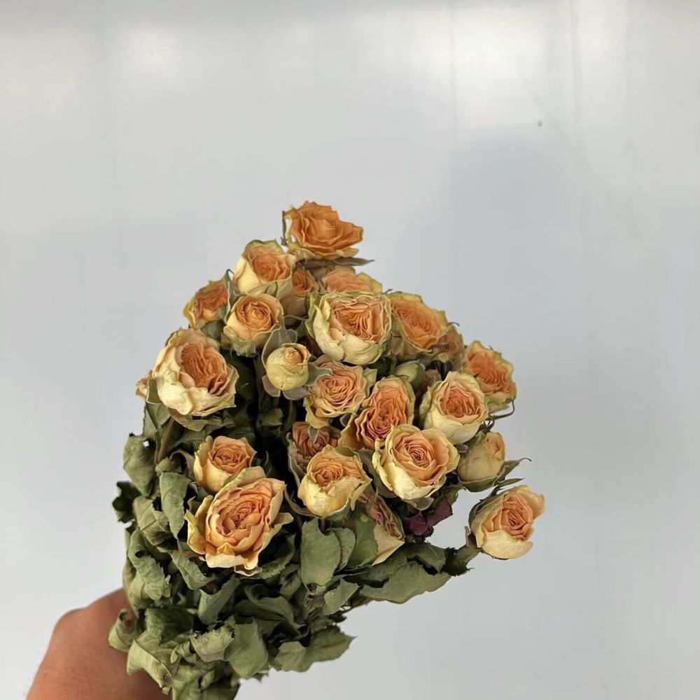 Prawdziwe, sterylizowane róże, – Resin Art Rose Preservation recenzja i cena