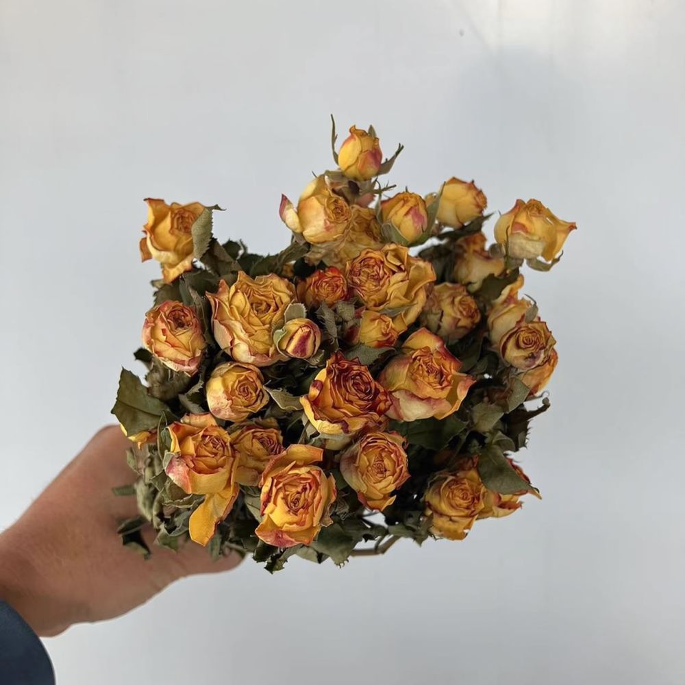 Prawdziwe, sterylizowane róże, – Resin Art Rose Preservation recenzja i cena