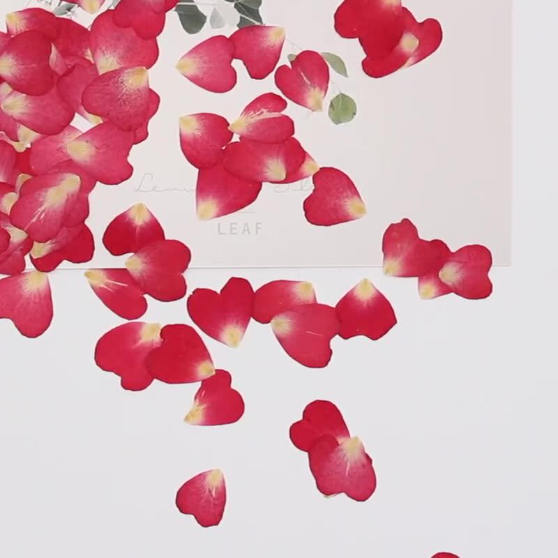 120 szt. mieszanki płatków róż – Resin Art Rose Petals recenzja i cena
