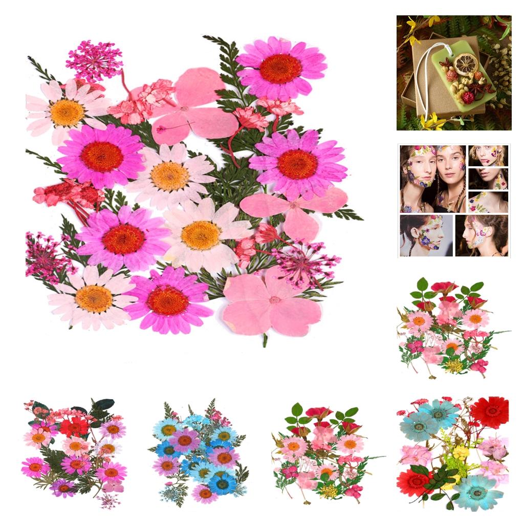 25 Szt. Suszonych Kwiatów, Pła – Resin Art Rose Petals recenzja i cena