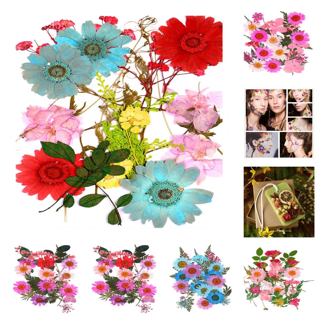 25 Szt. Suszonych Kwiatów, Pła – Resin Art Rose Petals recenzja i cena