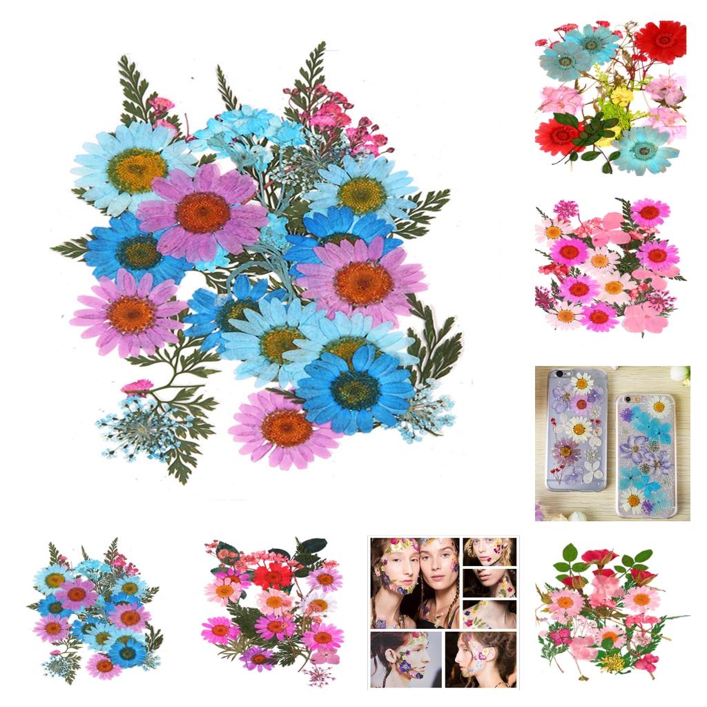 25 Szt. Suszonych Kwiatów, Pła – Resin Art Rose Petals recenzja i cena