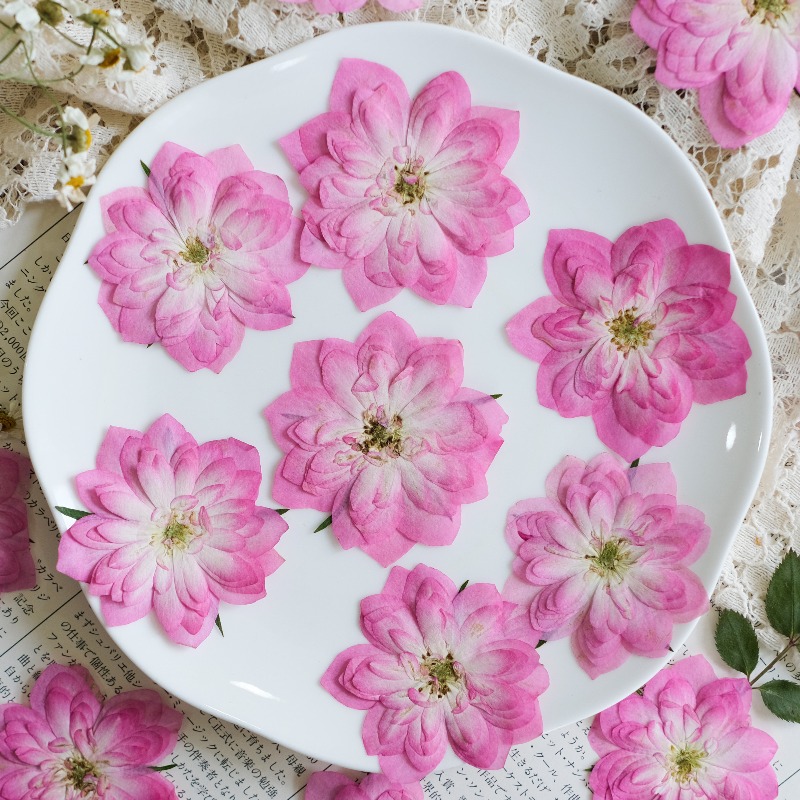 6 szt., Naturalne suszone kwia – Resin Art Rose Petals recenzja i cena