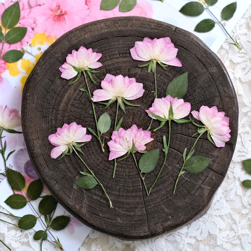 12 sztuk, prawdziwe suszone i  – Resin Art Jewellery recenzja i cena