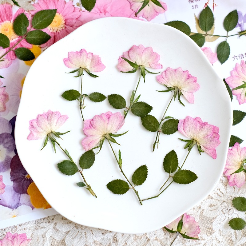 12 sztuk, prawdziwe suszone i  – Resin Art Jewellery recenzja i cena